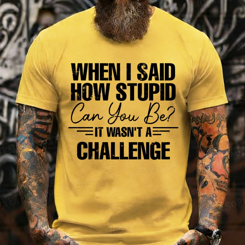 When I Said How Stupid Can You Be It Wasn't A Challenge T-Shirts